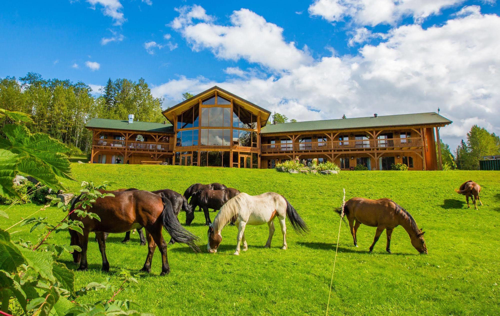 Bear Claw Lodge Kispiox Exterior foto